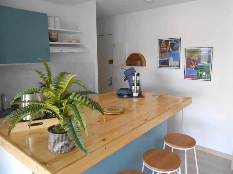 Appartement A La Plage Argelès-sur-Mer Kültér fotó